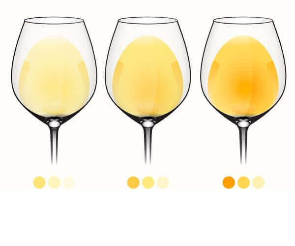 3 glas hvidvin med forskellig farve vin
